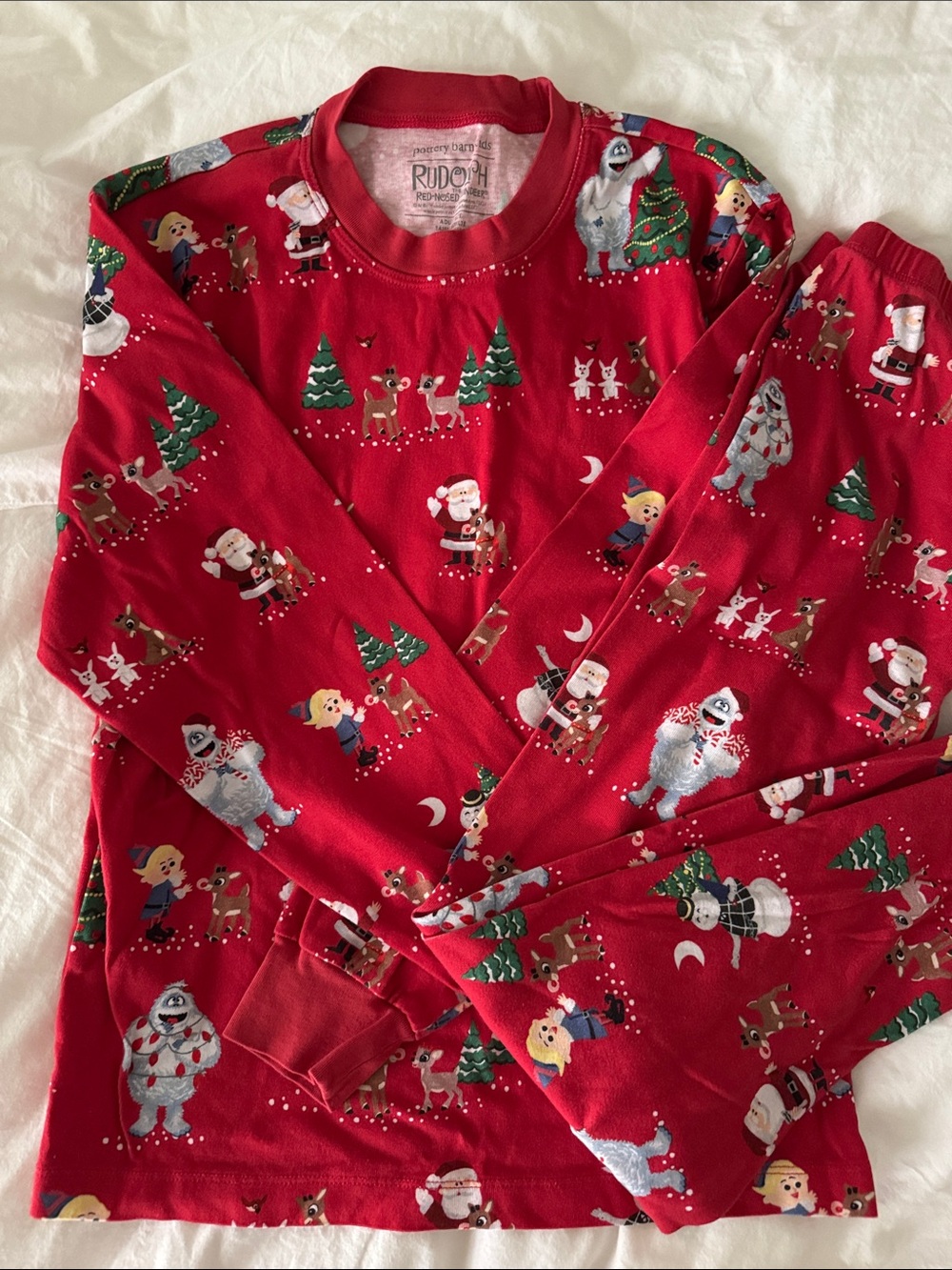 Pottery Barn Rudolph Holiday Pajama Set - Adult Medium